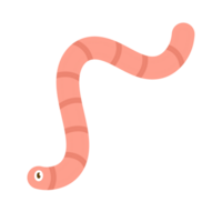 Cartoon illustration of a worm with a simple and modern design and cheerful colors. png