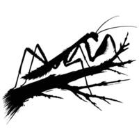 Praying mantis on a branch vector