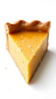 Closeup of a slice of pumpkin pie on a plain background showcasing its texture and flavor photo