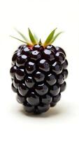 Closeup of a blackberry showcasing rich texture and deep color against light backdrop photo