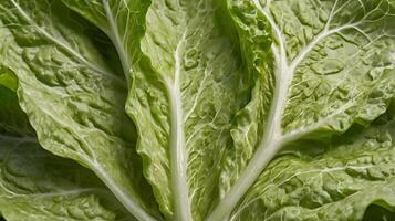 Fresh lettuce leaves showing intricate textures and vibrant green color in detail photo