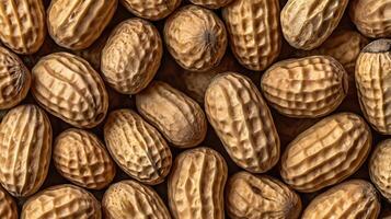 Detailed closeup of various peanuts showcasing texture and natural patterns photo