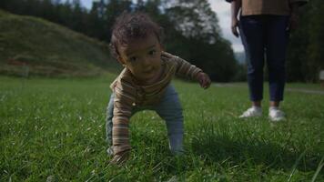 A baby joyfully exploring the beauty of nature within a calm and serene environment video