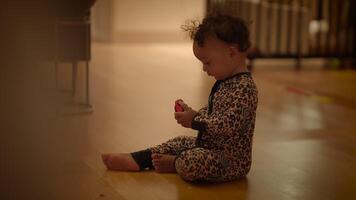 A toddler happily playing on the floor within a cozy and inviting setting filled with joy video