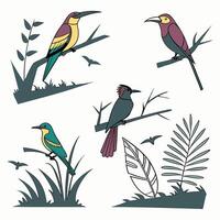 A colorful set of birds perched on a branch featuring a bee-eater, kingfisher, and roller with vibrant feathers in blue, green, yellow, and lilac, showcasing their beautiful wings and beaks vector