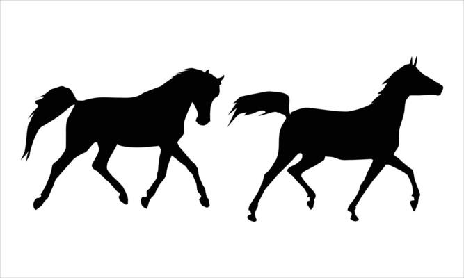 Horse silhouette icon set Illustration