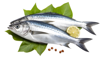 Two fish on a leaf with a lemon png