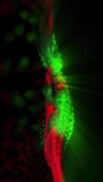 Abstraction of virtual waves of red and green color that excite the imagination, immersing the mind in a unique creative atmosphere. video