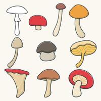 Set of natural and isolated mushrooms, sprouts from the autumn forest. vector