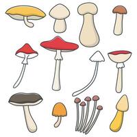 Set of illustrations of edible mushrooms, chanterelle, cep, amanita and truffle isolated. Types of forest wild mushrooms. vector