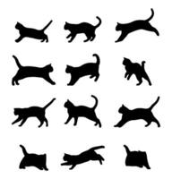 Collection set, showing different poses of cat silhouettes isolated on white background. vector