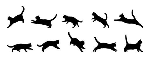 Set of collection of cat silhouettes isolated on a white background. vector