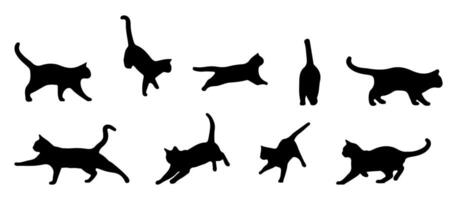 Collection of cat silhouettes in different poses, displayed on a white background. vector