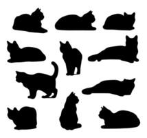 Collection set of cat silhouettes in various poses on a white background. vector