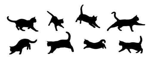 Cat silhouette collection, in various poses isolated on a white background. vector