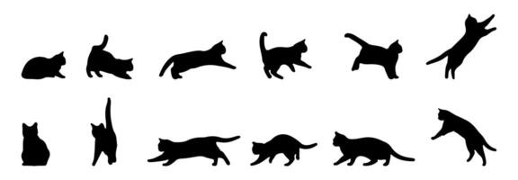Cat silhouette collection displays drawings in various poses on a white background. vector