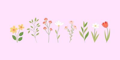 Spring wildflowers and branches isolated on pink background. Hand drawn illustration vector