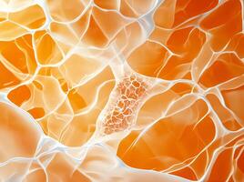 This abstract image showcases the intricate patterns of cellular structures, presenting a blend of vibrant orange hues and delicate white lines that evoke a sense of microscopic be photo