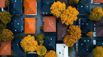 An aerial view of a neighborhood showcasing houses with colorful roofs surrounded by vibrant autumn trees photo