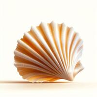 A delicate seashell featuring intricate ridges and a soft gradient of colors. Perfect for nature-themed projects, this image captures the beauty of ocean treasures. photo