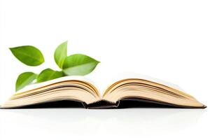 An open book with golden pages rests on a clean surface, complemented by fresh green leaves photo
