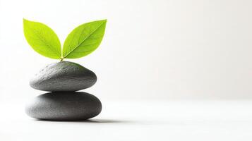 A serene composition featuring a stack of smooth stones supporting fresh green leaves, symbolizing balance and tranquility in nature, ideal for wellness and environmental themes. photo