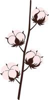 Cotton plant branch with fluffy bolls and brown stems in minimalistic flat design illustration vector