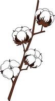 Cotton plant branch with fluffy white bolls and brown stem in minimal flat design art vector