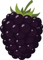 Fresh blackberry with lush green leaves designed in a flat style, showcasing vibrant colors and smooth textures, perfect for healthy food art vector