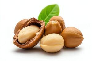 A close-up view of raw macadamia nuts, showcasing their creamy interior and natural shell. Perfect for food-related projects, advertising, or health and nutrition themes. photo