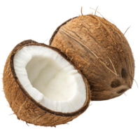 Fresh Coconut with half slice isolated on transparent background png