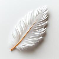 A close-up view of a delicate white feather with soft, wispy edges and a slender orange stem, set against a clean background, symbolizing purity and nature's beauty. photo