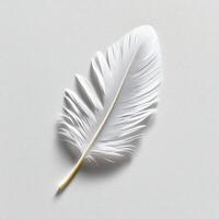 A pristine white feather resting elegantly on a soft surface, showcasing delicate details and textures, perfect for adding a touch of nature's beauty to any artistic collection. photo
