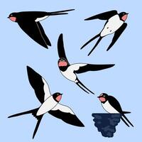 Swallow or Martin Passerine Bird with Long Tail and Pointed Wings Flying and Gliding Set vector
