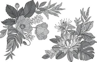 Floral set of monochrome flowers arranged with leaves vector