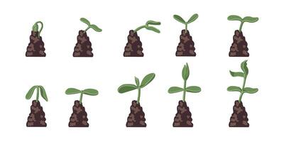 Set of illustrations with phases plant growth. Image for banners, web sites, designs. vector
