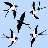 Set of different swallows isolated on a blue background. Cartoon simple flat illustration. vector
