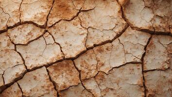 A close up of a cracked and dry surface photo