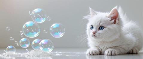 A white cat is sitting on a table with soap bubbles photo