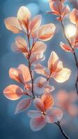 Fresh spring leaves bathed in gentle sunlight create a serene atmosphere in nature's awakening photo
