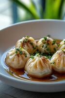 Delicately arranged soup on white plate highlighting delicious dumplings with garnishes photo
