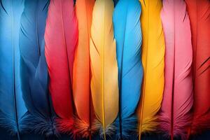 Colorful Feather Pattern for Artistic Background Design and Print photo