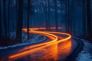 Mystical Winter Forest with Glowing Light Trails for Creative Design photo