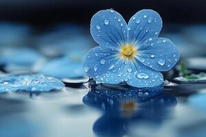 Blue Flower with Dewdrops Reflected on Water Surface for Nature and Tranquility Themes photo