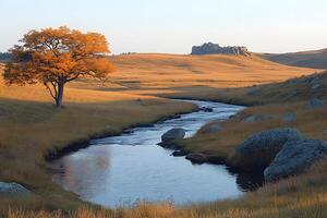 Serene Autumn Landscape Scene with Stream and Tree for Nature and Tranquility Themes photo