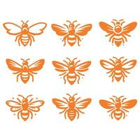 The Hive Collective collection design vector