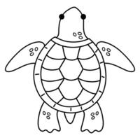 Turtle Outline Coloring Page for Kids vector