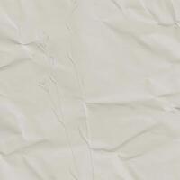 Embossed Floral Design on Wrinkled Cream Paper Background Subtle Texture Minimalist Botanical photo