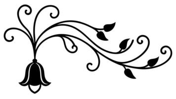 Elegant Floral Ornament Underline Design Decorative and Frames vector