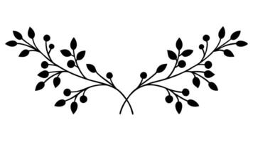Elegant Floral Ornament Underline for Decorative Borders and Frames vector